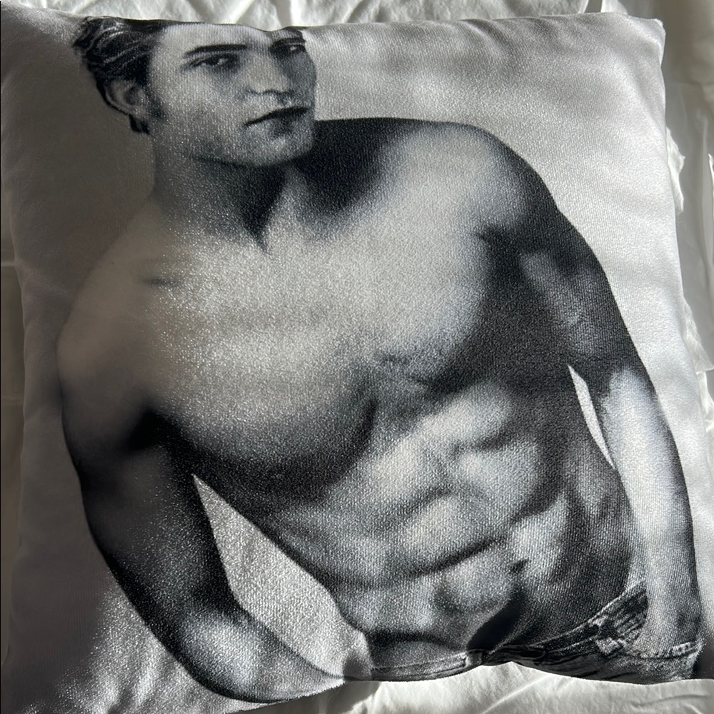 Robert Patterson Monochrome Decorative Pillow. Like New